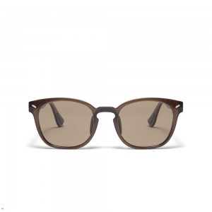 Brown Tracksmith The Charles Sunglasses Singapore | YURMI-1604