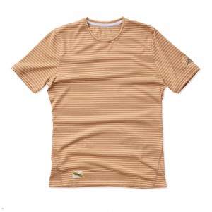 Cork/Melon Stripe Tracksmith Horizon Men's Tee Singapore | ENWQA-8609