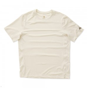 Ivory Tracksmith Session Men's Tee Singapore | RCNHW-5683