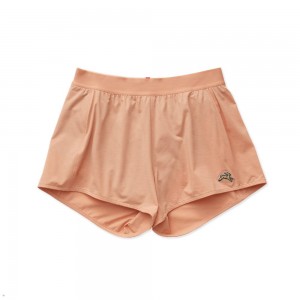 Muted Clay Tracksmith Session Speed Women's Shorts Singapore | QGORA-1907