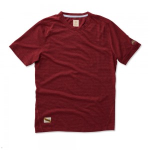 Pomegranate Stripe Tracksmith Horizon Men's Tee Singapore | NOPGQ-1254