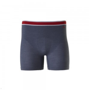 Stone Gray Tracksmith Brighton Boxer Briefs Men's Underwear Singapore | MBLYD-5427