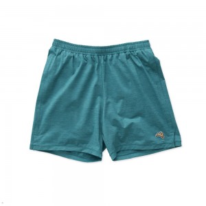 Turquoise Tracksmith Session Men's Shorts Singapore | KNTWO-8134