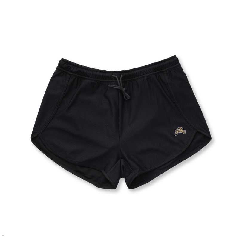 Black Tracksmith Van Cortlandt Women\'s Shorts Singapore | VZCTR-9570