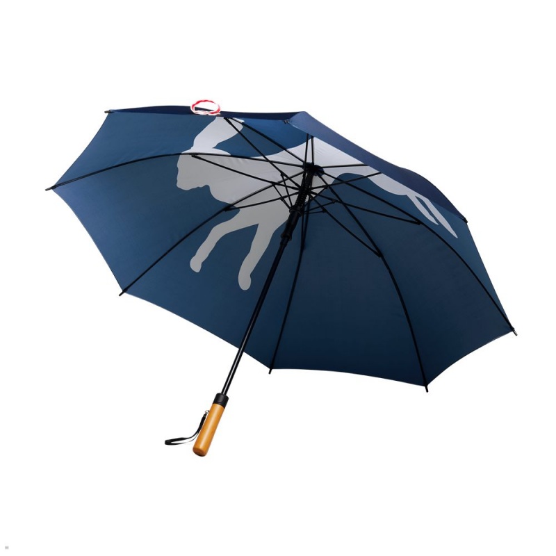 Blue Tracksmith Umbrella Other Accessories Singapore | PCXBM-8239