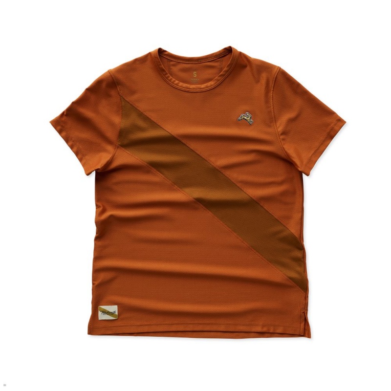 Brick Red/Caramel Tracksmith Van Cortlandt Women\'s Tee Singapore | XCRIK-7801