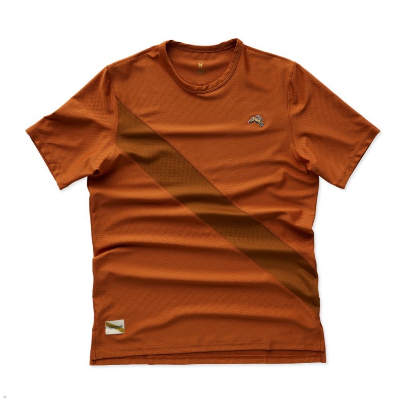 Brick Red/Caramel Tracksmith Van Cortlandt Men\'s Tee Singapore | IXAPY-6189