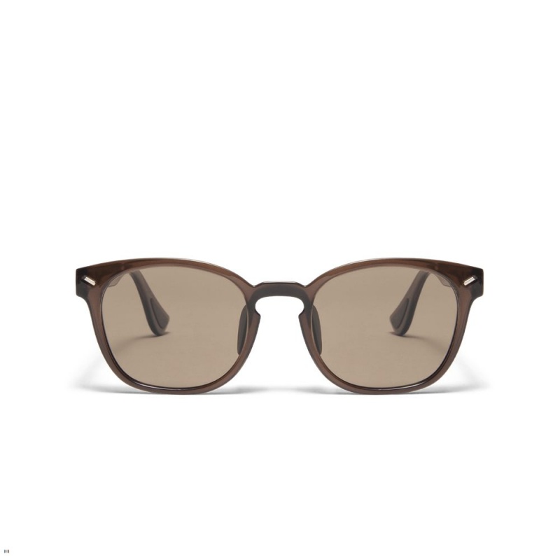 Brown Tracksmith The Charles Sunglasses Singapore | YURMI-1604