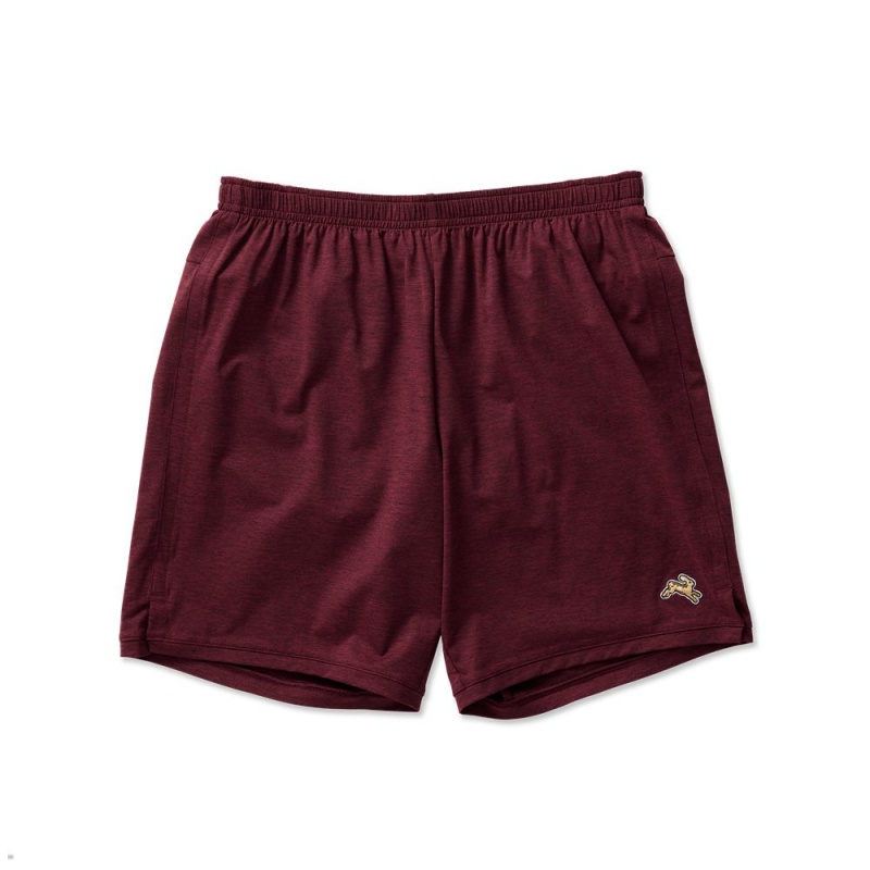 Burgundy Tracksmith Session Men\'s Shorts Singapore | ZDVLA-8245