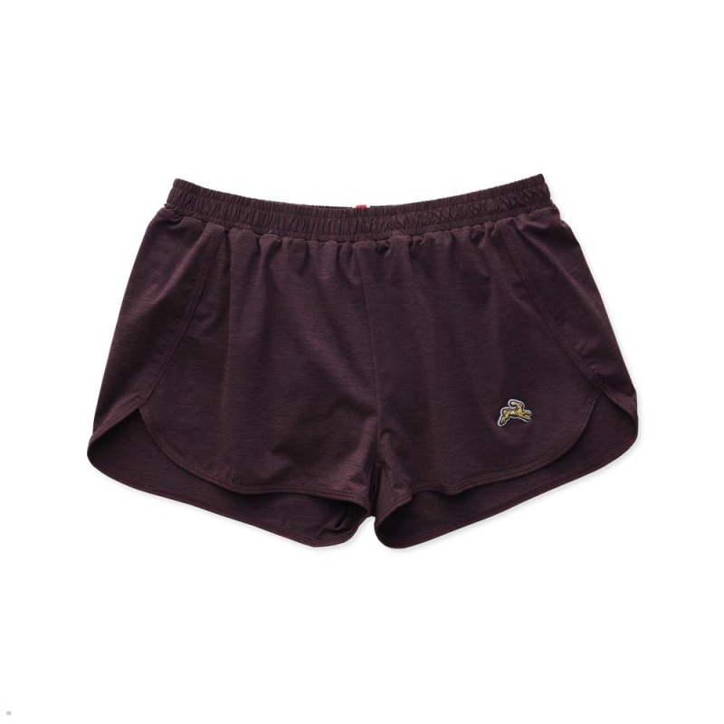 Dark Aubergine Heather Tracksmith Session Women\'s Shorts Singapore | ETPRW-8236