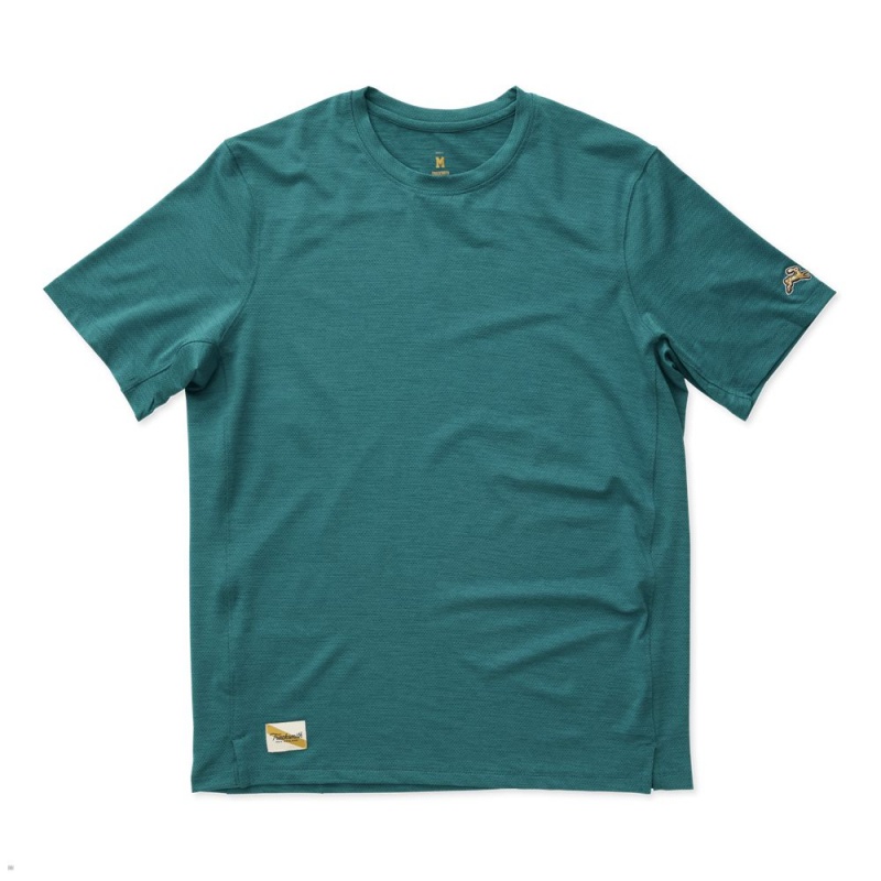 Dark Spruce Tracksmith Session Men\'s Tee Singapore | EDNFV-0714