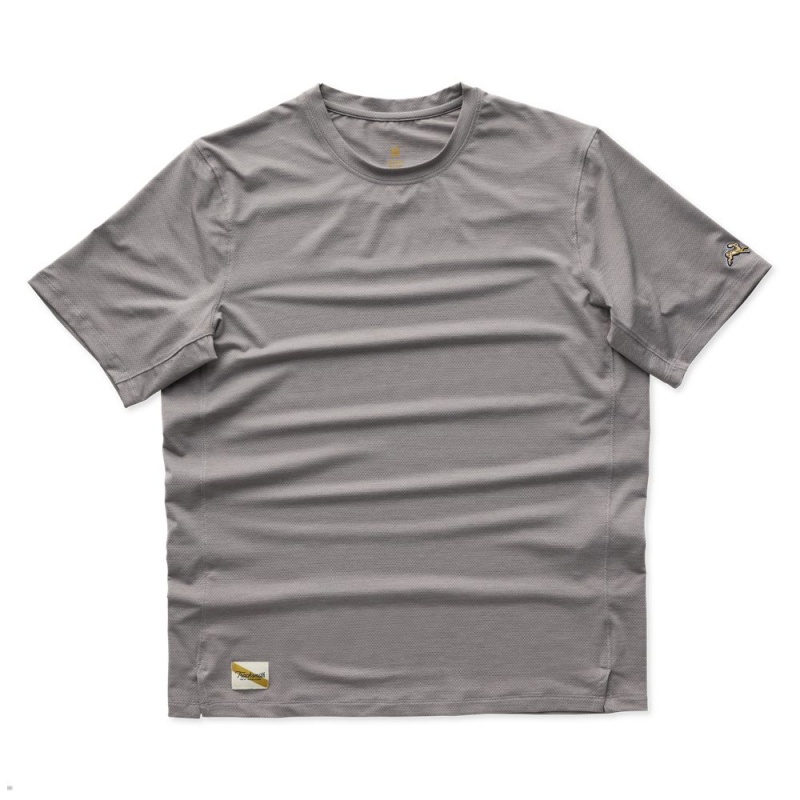 Frost Gray Tracksmith Session Men\'s Tee Singapore | YLXEI-3184