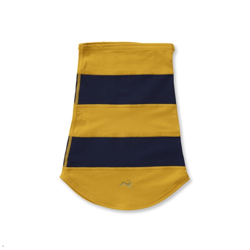 Gold/Navy Tracksmith Inverno Neck Warmer Singapore | WQVPJ-9280