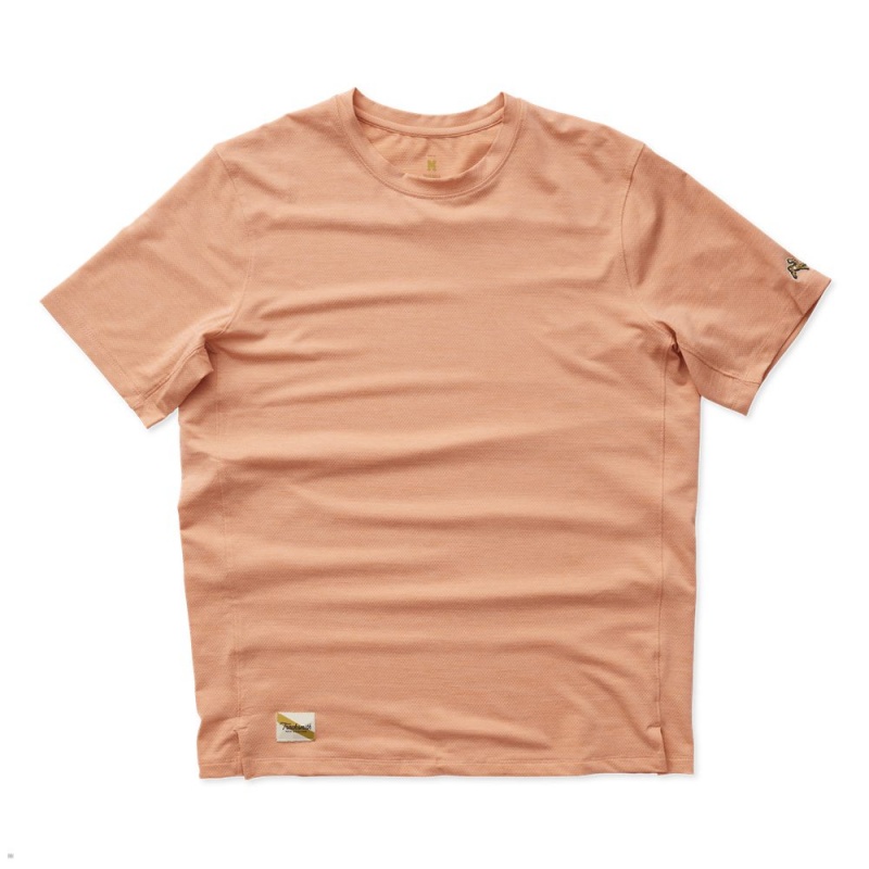 Muted Clay Tracksmith Session Men\'s Tee Singapore | HVZJM-0759