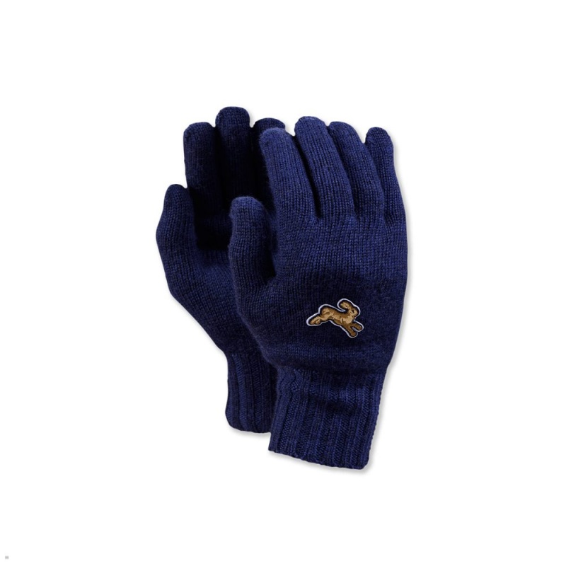 Navy Tracksmith Harrier Gloves Singapore | ELAYQ-8542