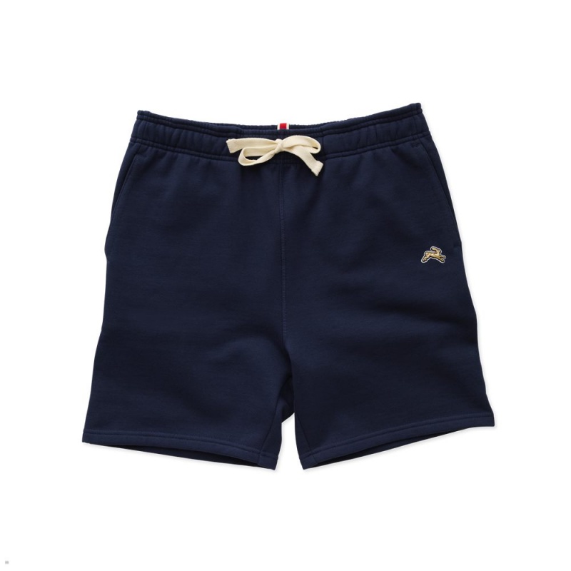 Navy Tracksmith Trackhouse Men\'s Shorts Singapore | SHGUP-9456