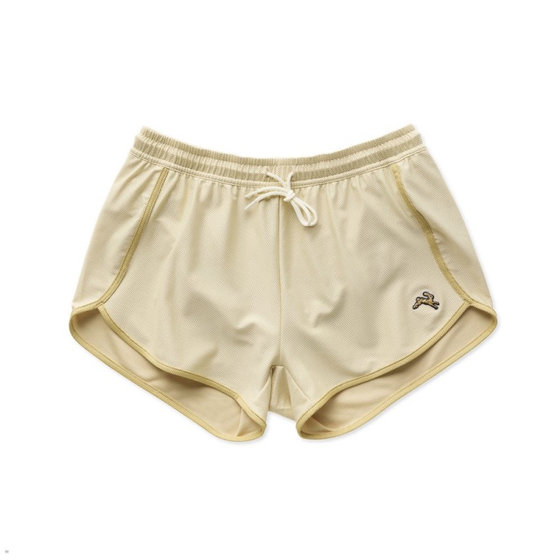 Putty/Khaki Tracksmith Van Cortlandt Women\'s Shorts Singapore | PXCDE-5920