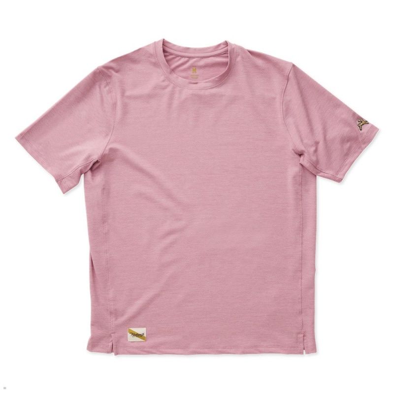 Rose Tracksmith Session Men\'s Tee Singapore | MCPAS-8473