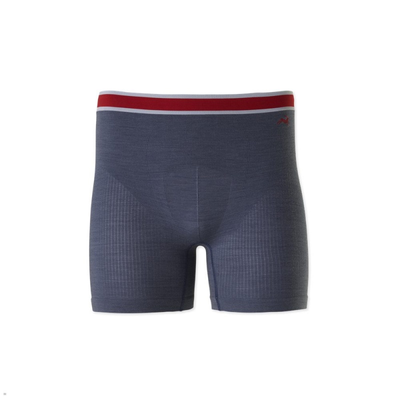 Stone Gray Tracksmith Brighton Boxer Briefs Men\'s Underwear Singapore | MBLYD-5427