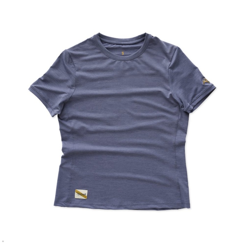 Stone Gray Tracksmith Session Women\'s Tee Singapore | TXUSP-9203