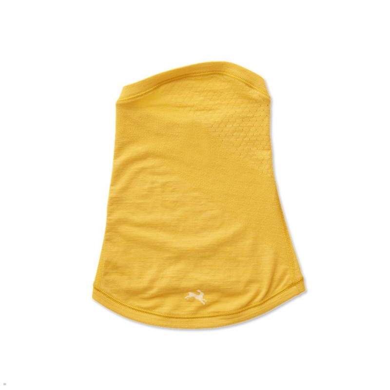 Yellow Tracksmith Brighton Neck Warmer Singapore | LFVUO-4621